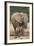 African Elephant (Loxodonta Africana) Mother and Baby-James Hager-Framed Photographic Print