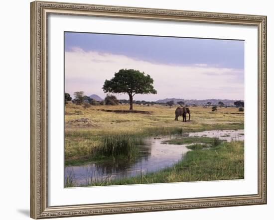 African Elephant (Loxodonta Africana), Tarangire National Park, Tanzania, East Africa, Africa-James Hager-Framed Photographic Print