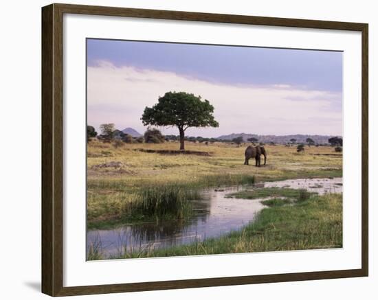 African Elephant (Loxodonta Africana), Tarangire National Park, Tanzania, East Africa, Africa-James Hager-Framed Photographic Print