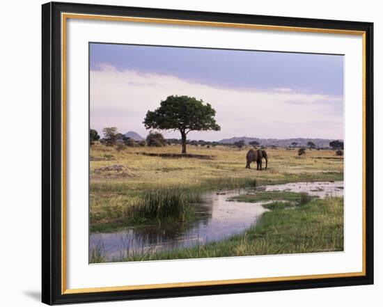 African Elephant (Loxodonta Africana), Tarangire National Park, Tanzania, East Africa, Africa-James Hager-Framed Photographic Print