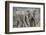 African Elephant (Loxodonta Africana) Two Bulls, Chyulu Hills, Kenya-Wim van den Heever-Framed Photographic Print