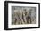 African Elephant (Loxodonta Africana) Two Bulls, Chyulu Hills, Kenya-Wim van den Heever-Framed Photographic Print