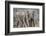 African Elephant (Loxodonta Africana) Two Bulls, Chyulu Hills, Kenya-Wim van den Heever-Framed Photographic Print