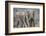 African Elephant (Loxodonta Africana) Two Bulls, Chyulu Hills, Kenya-Wim van den Heever-Framed Photographic Print