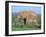 African Elephant (Loxodonta Africana) with Calf, Addo National Park, South Africa, Africa-Steve & Ann Toon-Framed Photographic Print