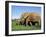 African Elephant, Loxodonta Africana, with Calf, Addo National Park, South Africa, Africa-Ann & Steve Toon-Framed Photographic Print