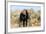 African elephant , Mapungubwe Nat'l Park, UNESCO World Heritage Site, Limpopo, South Africa, Africa-Christian Kober-Framed Photographic Print