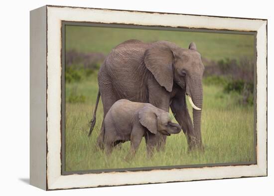 African Elephant Mother and Calf in Grass-DLILLC-Framed Premier Image Canvas