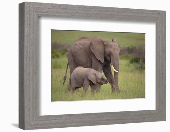 African Elephant Mother and Calf in Grass-DLILLC-Framed Photographic Print