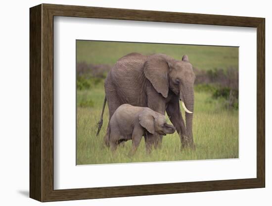 African Elephant Mother and Calf in Grass-DLILLC-Framed Photographic Print