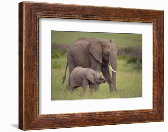 African Elephant Mother and Calf in Grass-DLILLC-Framed Photographic Print