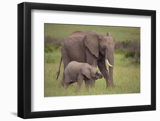African Elephant Mother and Calf in Grass-DLILLC-Framed Photographic Print