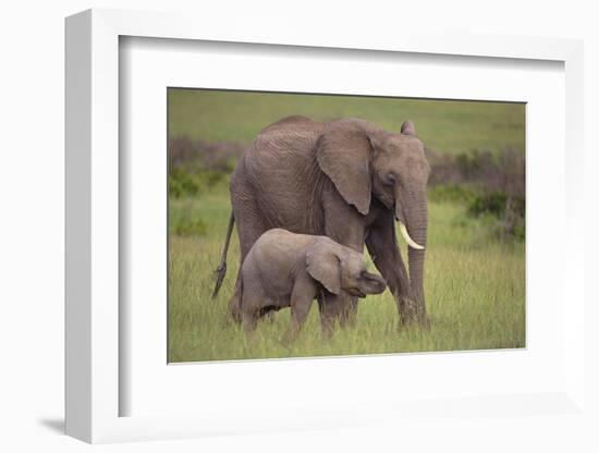 African Elephant Mother and Calf in Grass-DLILLC-Framed Photographic Print