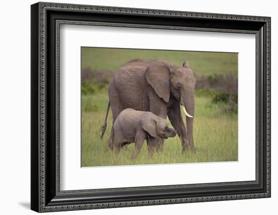 African Elephant Mother and Calf in Grass-DLILLC-Framed Photographic Print