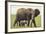 African Elephant Mother and Young in Grass-DLILLC-Framed Photographic Print