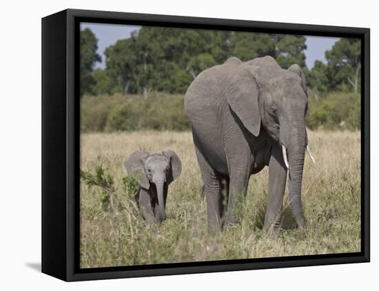 African Elephant Mother and Young, Masai Mara National Reserve-James Hager-Framed Premier Image Canvas