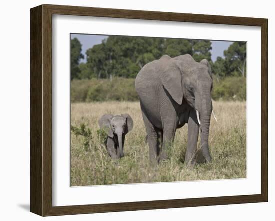 African Elephant Mother and Young, Masai Mara National Reserve-James Hager-Framed Photographic Print