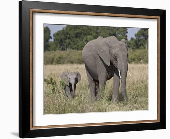 African Elephant Mother and Young, Masai Mara National Reserve-James Hager-Framed Photographic Print