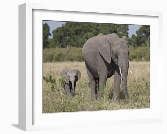 African Elephant Mother and Young, Masai Mara National Reserve-James Hager-Framed Photographic Print