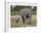 African Elephant Mother and Young, Masai Mara National Reserve-James Hager-Framed Photographic Print