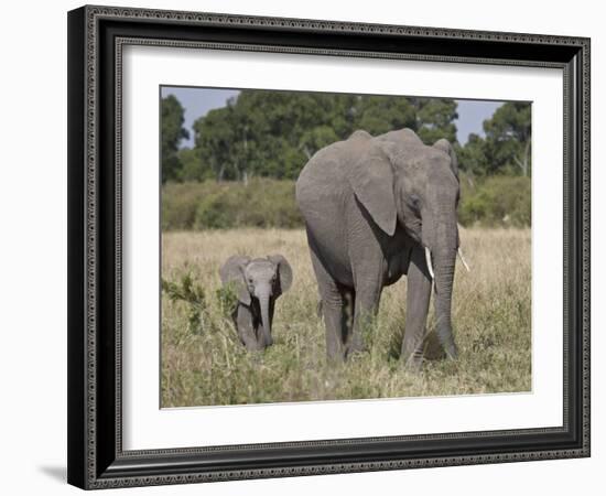 African Elephant Mother and Young, Masai Mara National Reserve-James Hager-Framed Photographic Print