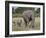 African Elephant Mother and Young, Masai Mara National Reserve-James Hager-Framed Photographic Print