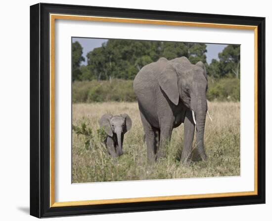 African Elephant Mother and Young, Masai Mara National Reserve-James Hager-Framed Photographic Print