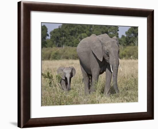 African Elephant Mother and Young, Masai Mara National Reserve-James Hager-Framed Photographic Print