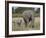 African Elephant Mother and Young, Masai Mara National Reserve-James Hager-Framed Photographic Print