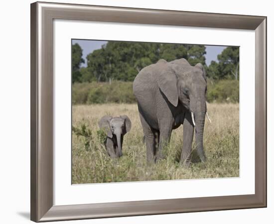 African Elephant Mother and Young, Masai Mara National Reserve-James Hager-Framed Photographic Print