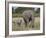 African Elephant Mother and Young, Masai Mara National Reserve-James Hager-Framed Photographic Print