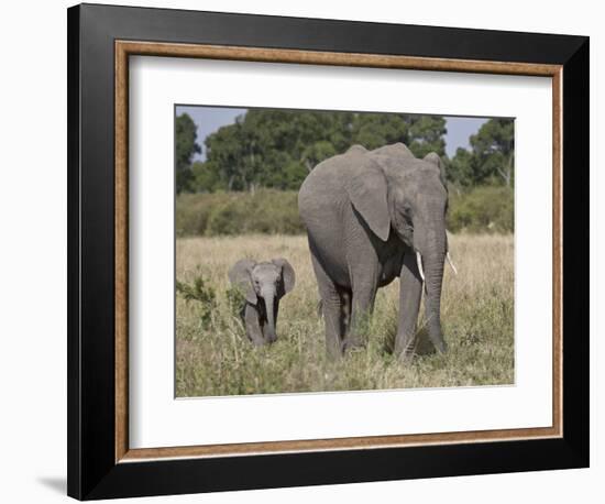 African Elephant Mother and Young, Masai Mara National Reserve-James Hager-Framed Photographic Print