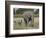 African Elephant Mother and Young, Masai Mara National Reserve-James Hager-Framed Photographic Print