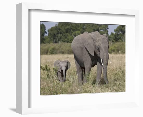 African Elephant Mother and Young, Masai Mara National Reserve-James Hager-Framed Photographic Print