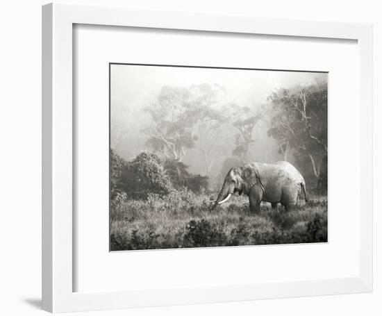 African elephant, Ngorongoro Crater, Tanzania-Frank Krahmer-Framed Art Print