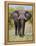 African Elephant, Okavango Delta, Botswana, Africa-Angelo Cavalli-Framed Premier Image Canvas