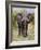 African Elephant, Okavango Delta, Botswana, Africa-Angelo Cavalli-Framed Photographic Print