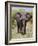 African Elephant, Okavango Delta, Botswana, Africa-Angelo Cavalli-Framed Photographic Print