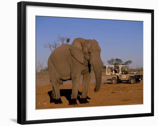 African Elephant, Okavango Delta, Botswana-Pete Oxford-Framed Photographic Print