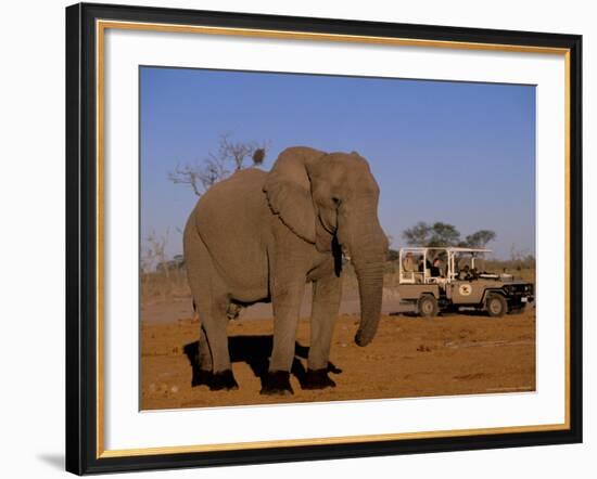 African Elephant, Okavango Delta, Botswana-Pete Oxford-Framed Photographic Print