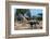 African elephant, plains zebras, and a southern giraffe, at a waterhole. Okavango Delta, Botswana.-Sergio Pitamitz-Framed Photographic Print