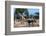 African elephant, plains zebras, and a southern giraffe, at a waterhole. Okavango Delta, Botswana.-Sergio Pitamitz-Framed Photographic Print