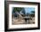 African elephant, plains zebras, and a southern giraffe, at a waterhole. Okavango Delta, Botswana.-Sergio Pitamitz-Framed Photographic Print