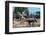 African elephant, plains zebras, and a southern giraffe, at a waterhole. Okavango Delta, Botswana.-Sergio Pitamitz-Framed Photographic Print