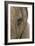 African Elephant's Eye-Tony Camacho-Framed Photographic Print