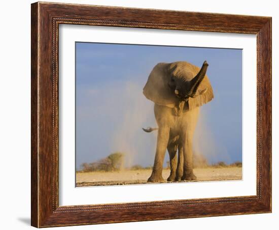 African Elephant, Shaking Dust Off, Etosha National Park, Namibia-Tony Heald-Framed Photographic Print