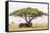 African elephant sheltering from the heat under a tree canopy, Serengeti National Park-Christian Kober-Framed Stretched Canvas