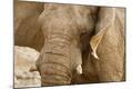 Premium Photographic Print