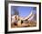 African Elephant Skull, Linyanti, Okavango Delta, Botswana-Pete Oxford-Framed Photographic Print