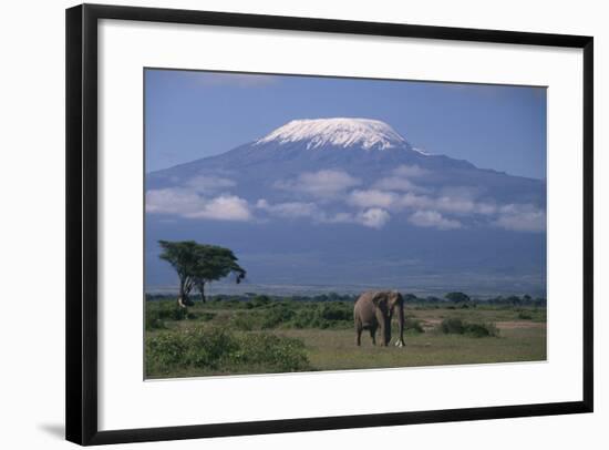 African Elephant Standing in Front of Mt. Kilimanjaro-DLILLC-Framed Photographic Print